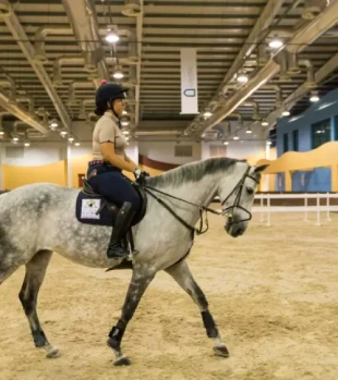 Abu Dhabi Equestrian Club